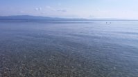 20190730_084339.jpg