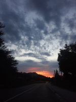 20190611_200442.jpg