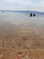 20190803_132420.jpg