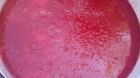 20190803_102515.jpg