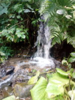 IMG_20190804_122620.jpg