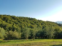 20190806_181543.jpg
