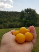 20190807_143353.jpg