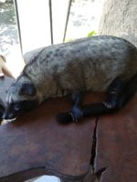 IMG_20190730_143848.jpg