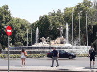 20190717_131353.jpg