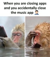 9B980F78-D16F-49EA-8143-B8E4C1E9431B.jpeg