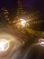 20190811_211308.jpg