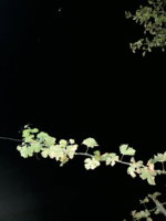 20190811_211240.jpg