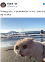 Screenshot_20190805-195347.jpg