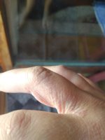 IMG_20190817_102138378.jpg