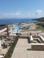 20190819_115409.jpg