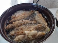 20190818_131521.jpg