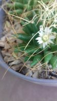 20190820_130650.jpg