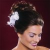 Winter Wedding Hairstyles 6.jpg