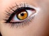 cute-eye-eye-shadow-eyes-face-Favim.com-310480_large.jpg