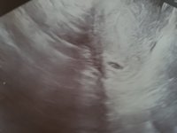 20190821_184805.jpg