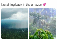 20190824_061900.png