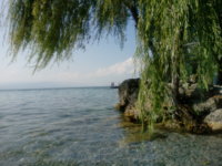 IMG_20190825_161657.jpg
