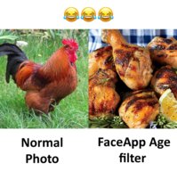 FC2ED04A-427A-4350-9C5B-BFB97B8BA64B.jpeg