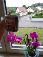 IMG_20190817_091016.jpg