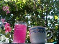 IMG_20190830_124838.jpg