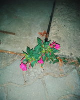 2019-09-06 12.28.04 1.jpg