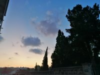 IMG_20190906_062454.jpg