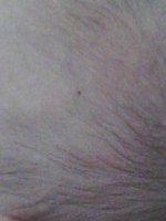 IMG_20190906_172532.jpg