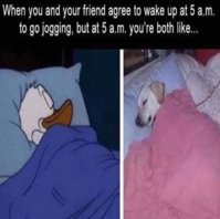 FB_IMG_1564869180430.jpg
