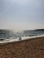 20190905_101208.jpg