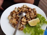 20190909_173543.jpg