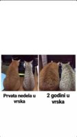 20190910_181754.jpg