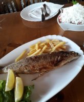 20190911_122734.jpg