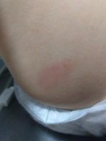 20190911_201315.jpg