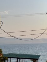 20190912_074851.jpg