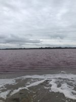 465B3757-2EC4-42B4-8C33-E00DDC4C5357.jpeg