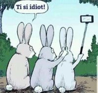 FB_IMG_1568354226208.jpg