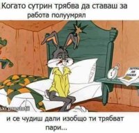 FB_IMG_1566807097777.jpg