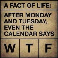 FB_IMG_1568371749444.jpg
