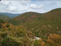 Screenshot_20190914-190454~2.png
