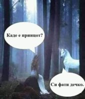 test.jpg