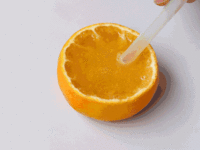 giphy.gif