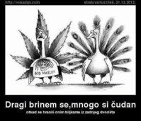 FB_IMG_1566403181675.jpg