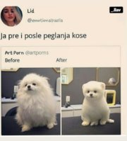 Screenshot_20190919-191507.jpg
