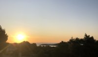 7106537B-D470-4C00-8763-28A76CF935E3.jpeg