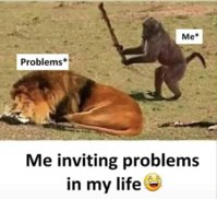 in.jpg