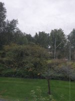 20190924_173230.jpg