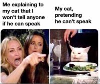 FB_IMG_1569249958230.jpg