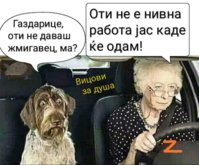 0ABCE895-4676-42C0-AFE5-D075A1D0D276.jpeg