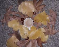 20191001_193130.jpg